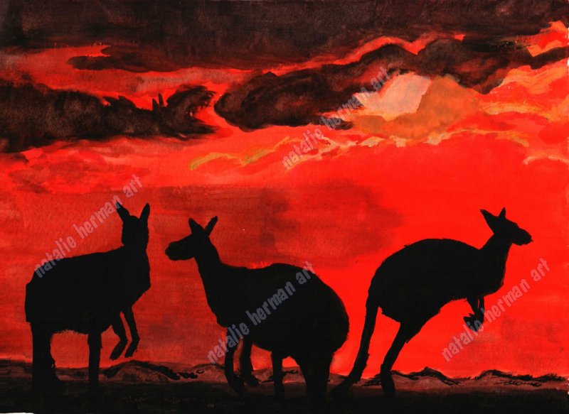 three kangaroos in shadow against a red sunset, clouds