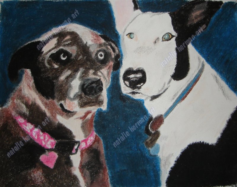 brown brindle dog with pink heart-shaped collar and black and white bull terrier with blue collar and heart-shaped nose against blue background