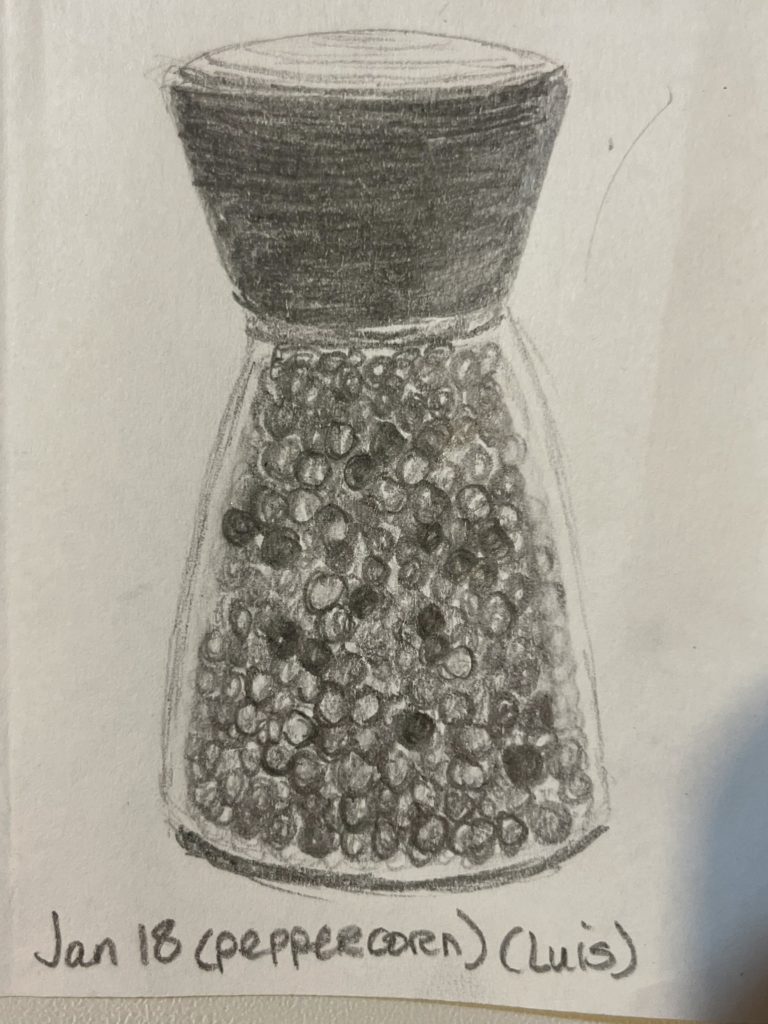 graphite pencil drawing of a peppermill with black top and glass bottom and filled with peppercorns
Words Jan 18 (peppercorn) (Luis)