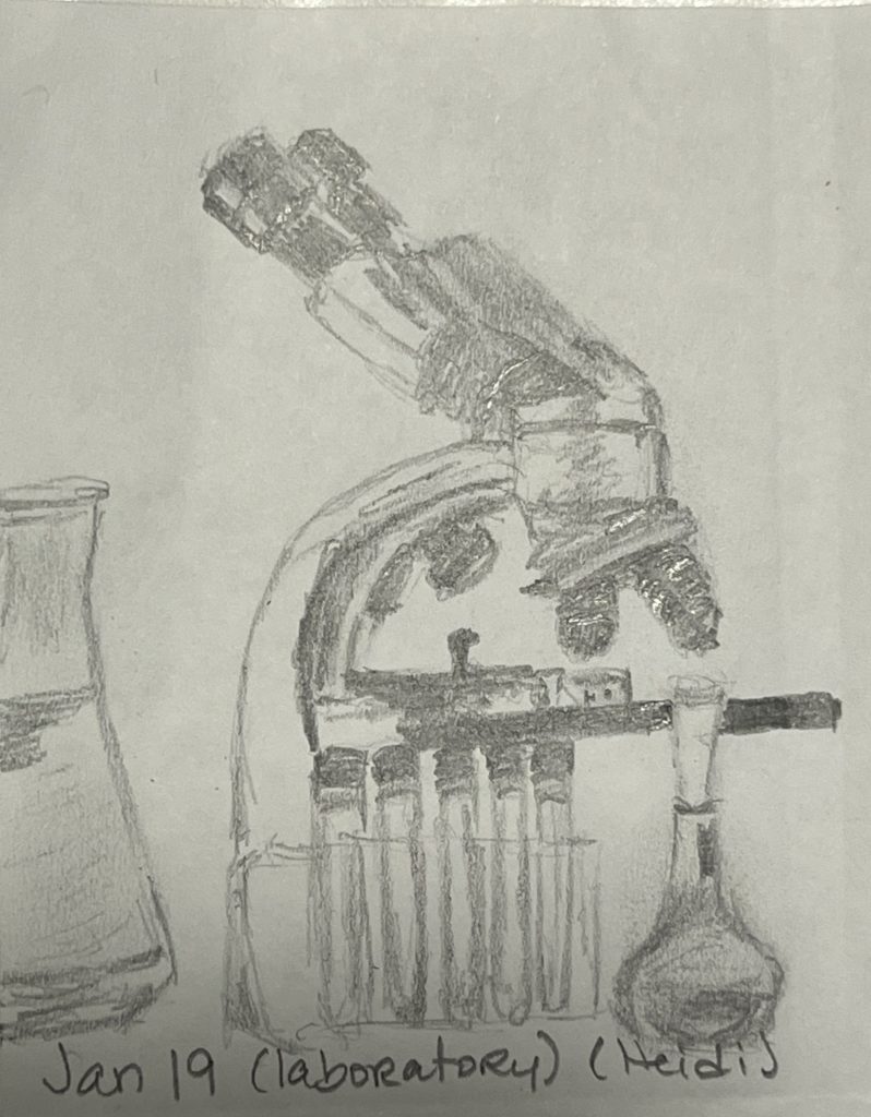 graphite pencil drawing of a microscope in the background, with 5 test tubes in front and a beaker on either of side 
Words Jan 19 (laboratory) (Heidi)