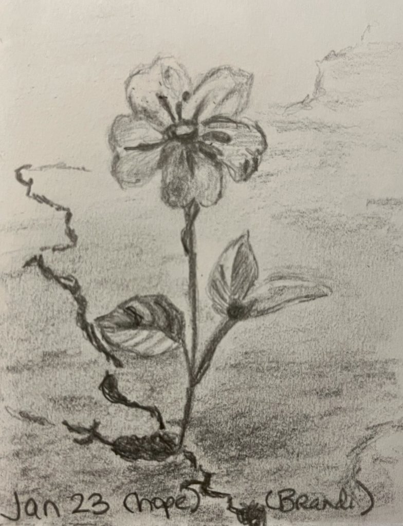 graphite pencil drawing of a flower emerging through a crack in the asphalt 
Words Jan 23 (hope) (Brandi)