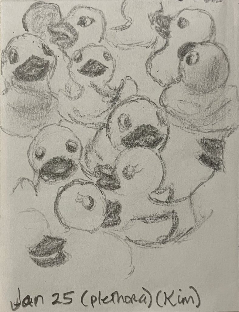 graphite pencil drawing of a group of rubber duckies scattered around
Words Jan 25 (plethora) (Kim)