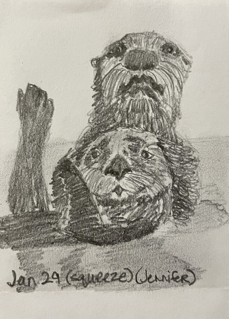 graphite pencil drawing of a mother otter hugging her baby to her chest. Both otters are half submerged in water
Words Jan 29 (squeeze) (Jennifer)