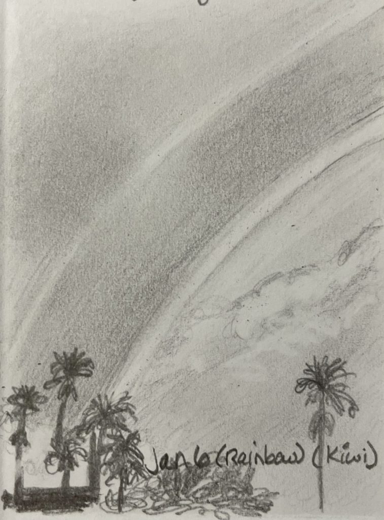 graphite pencil drawing of a double rainbow in a cloudy sky with distant palm trees at the bottom of the frame
Words Jan 6 (Rainbow) (Kiwi) 