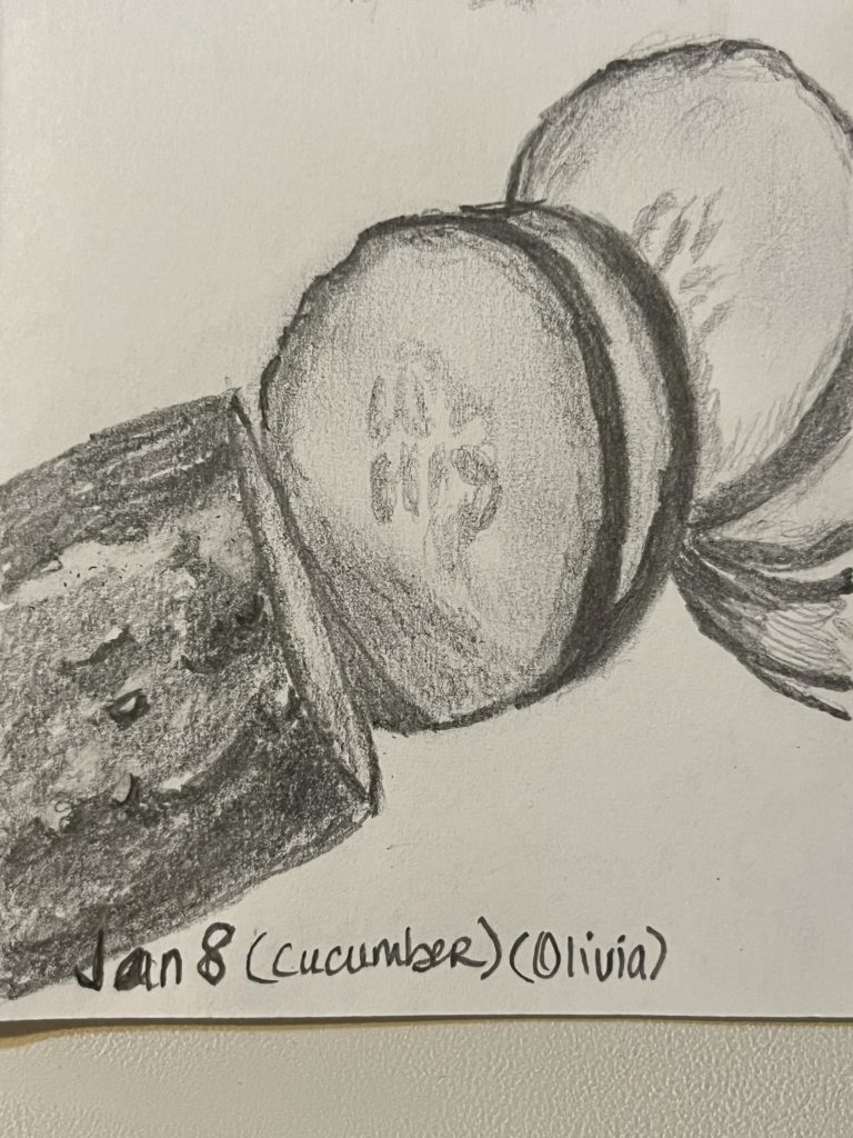 graphite pencil drawing of a cucumber and the slices of the cucumber 
Words Jan 8 (cucumber) (Olivia)